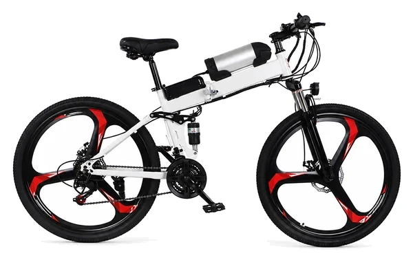 Folding Electric Bike